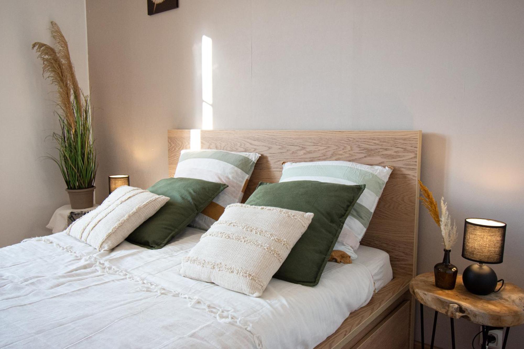 La Roche Doree I Grand Appartement Centre Ville 布雷斯特 外观 照片